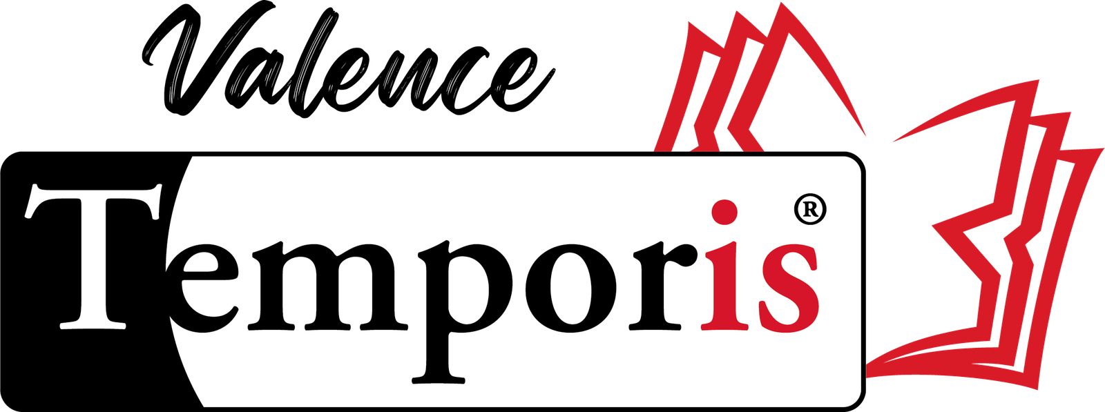 Logo Temporis Valence